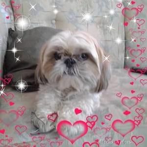 Meet your Posher, Sandrarussell